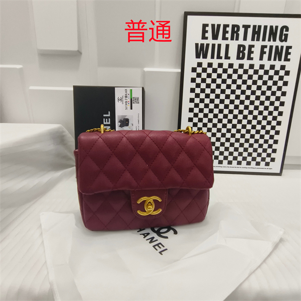 Chanel small bag-0157