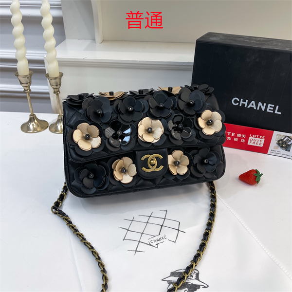 Chanel bag-0243