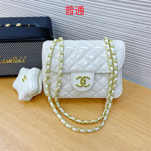 Chanel bag-0244