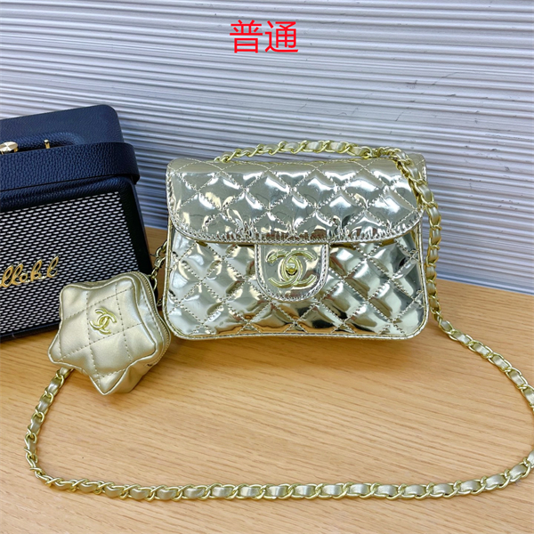 Chanel bag-0245