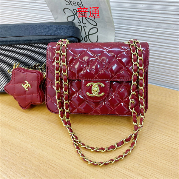 Chanel bag-0247