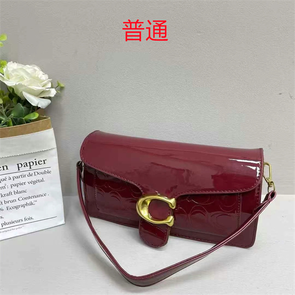 Coach small bag-0533