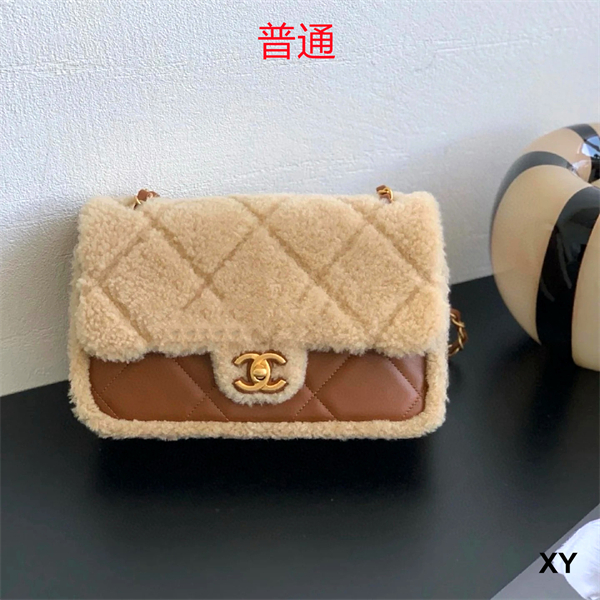 Chanel bag-0249