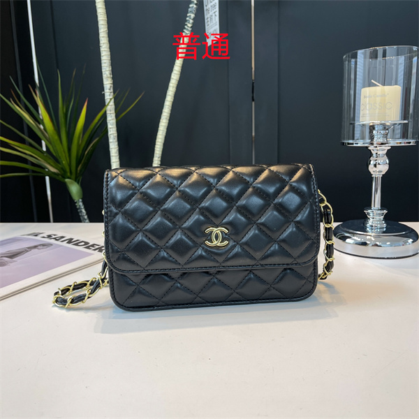 Chanel small bag-0178