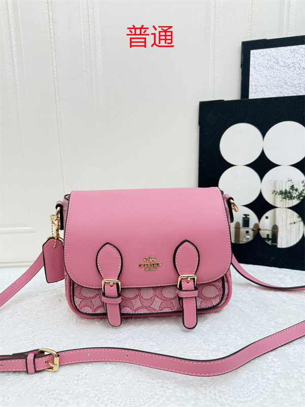 Coach small bag-0567