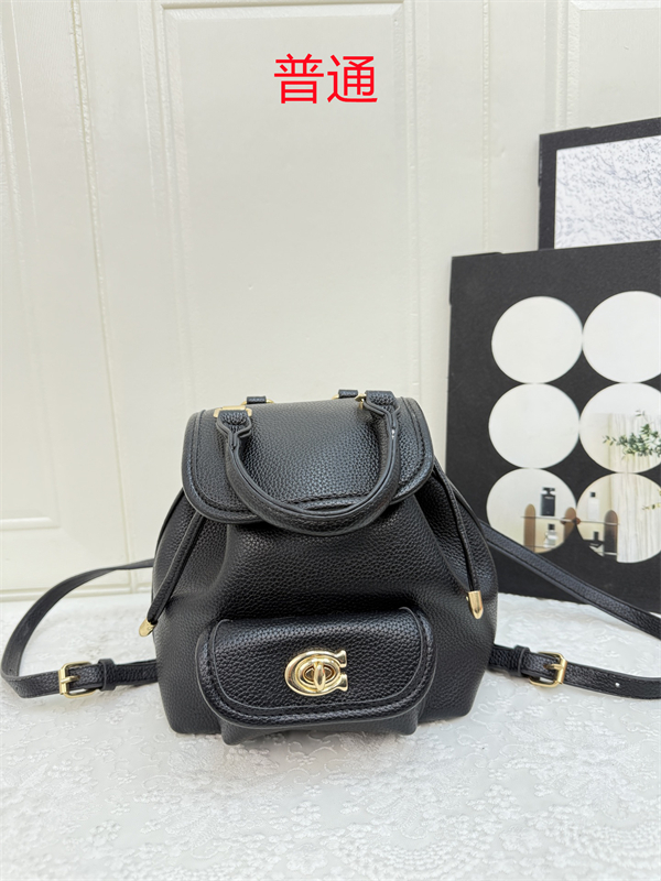 Coach small bag-0571