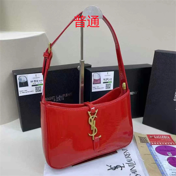 YSL small bag-0260