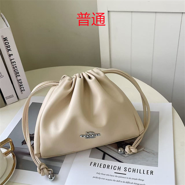 Coach small bag-0585