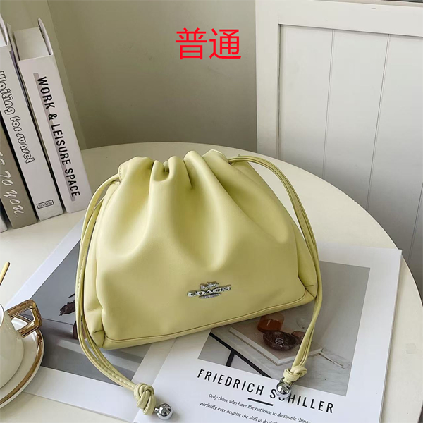 Coach small bag-0586