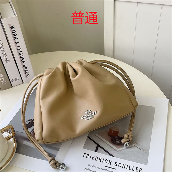 Coach small bag-0587