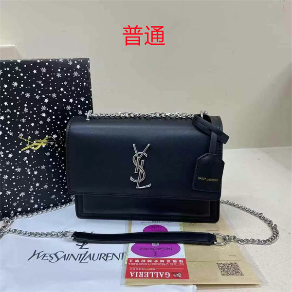 YSL small bag-0273