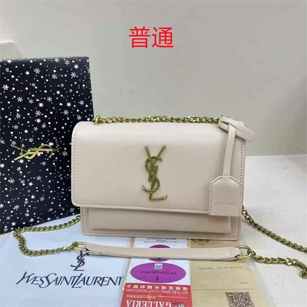 YSL small bag-0276
