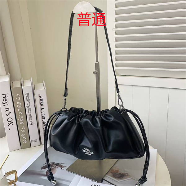 Coach small bag-0593