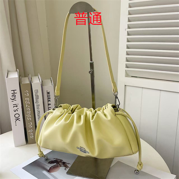 Coach small bag-0594