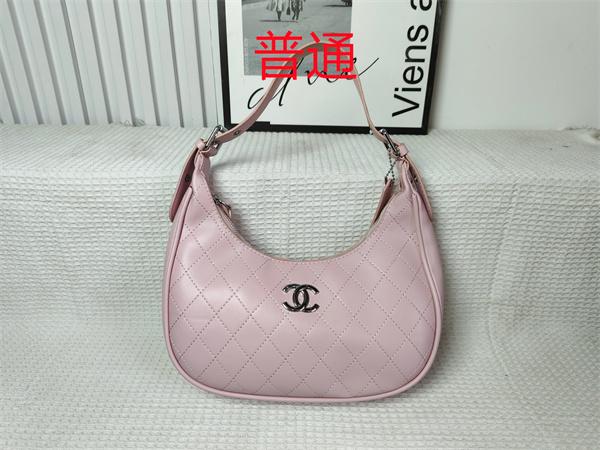 Chanel small bag-0231