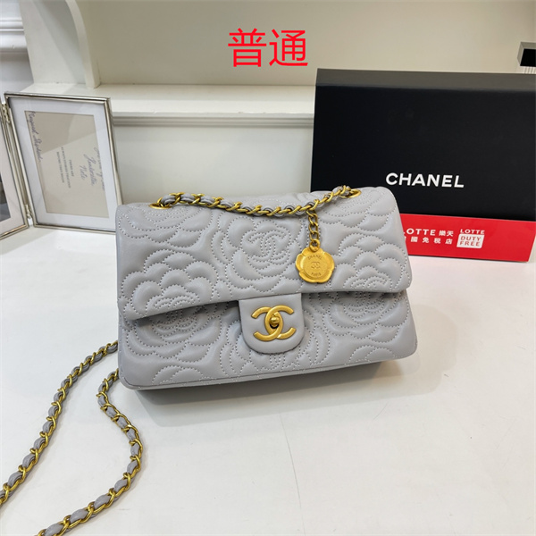 Chanel bag-0320