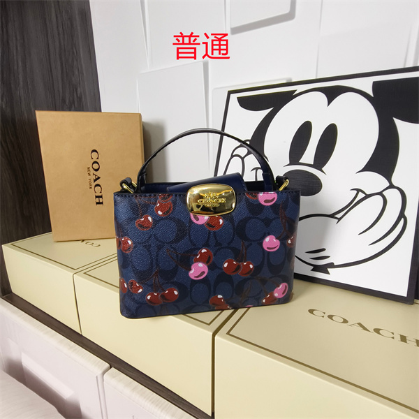 Coach small bag-0607