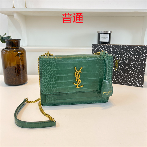 YSL small bag-0296