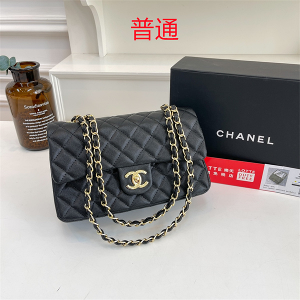 Chanel bag-0348