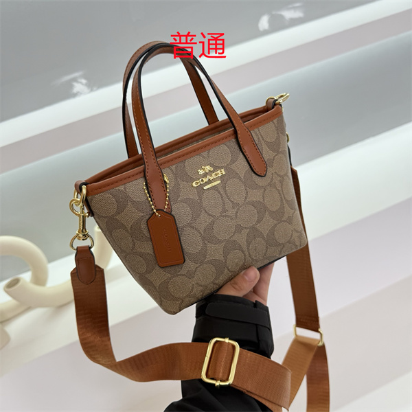 Coach small bag-0648