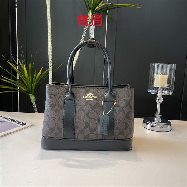 Coach small bag-0651