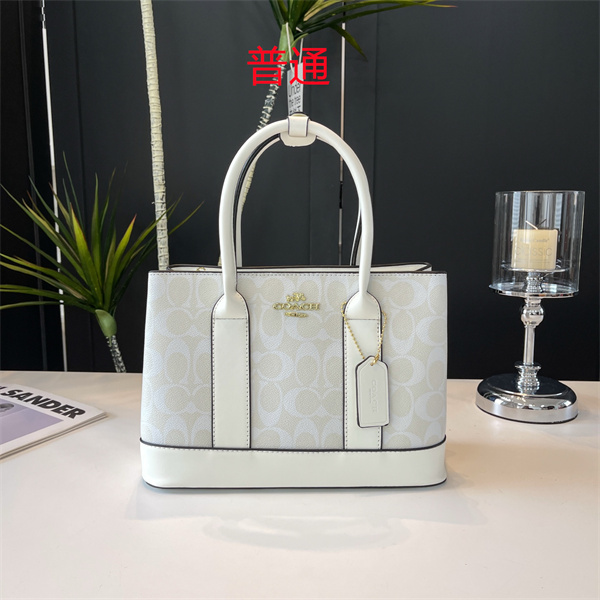 Coach small bag-0652