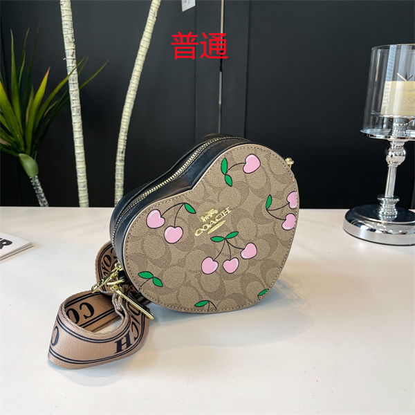 Coach small bag-0658