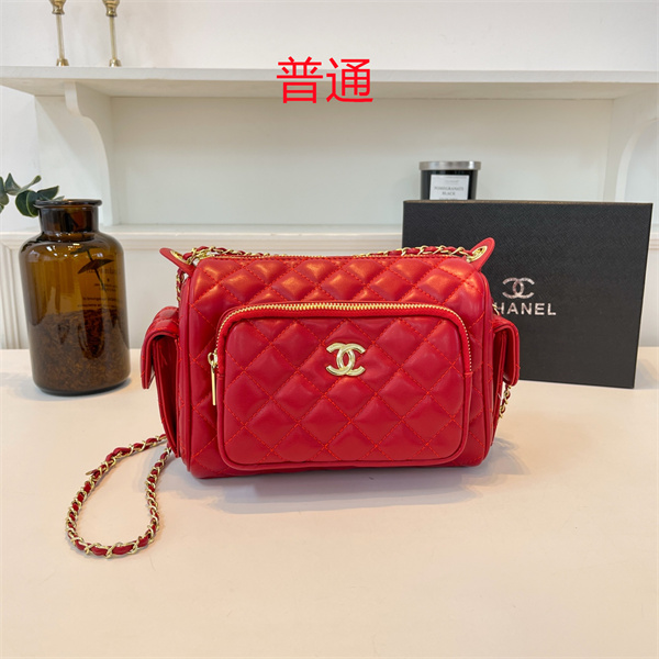 Chanel small bag-0302
