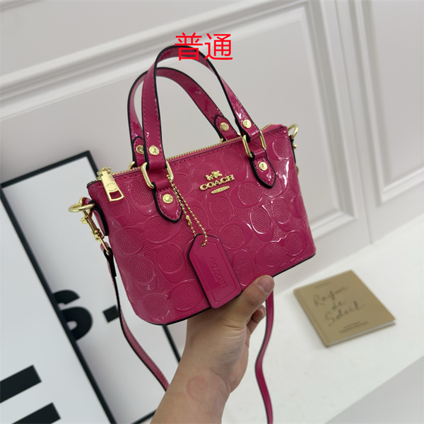 Coach small bag-0685