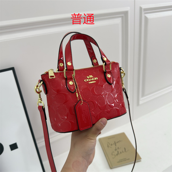Coach small bag-0687