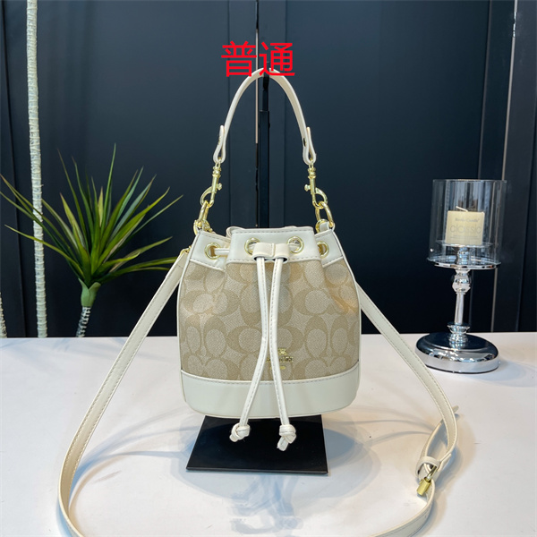 Coach small bag-0691