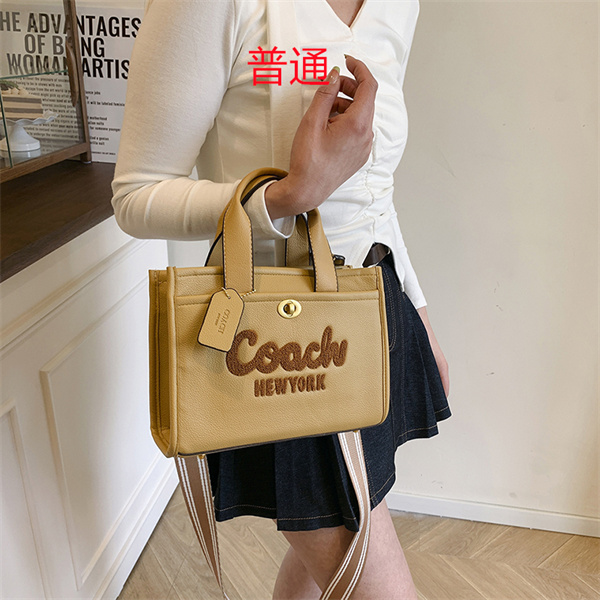 Coach small bag-0862
