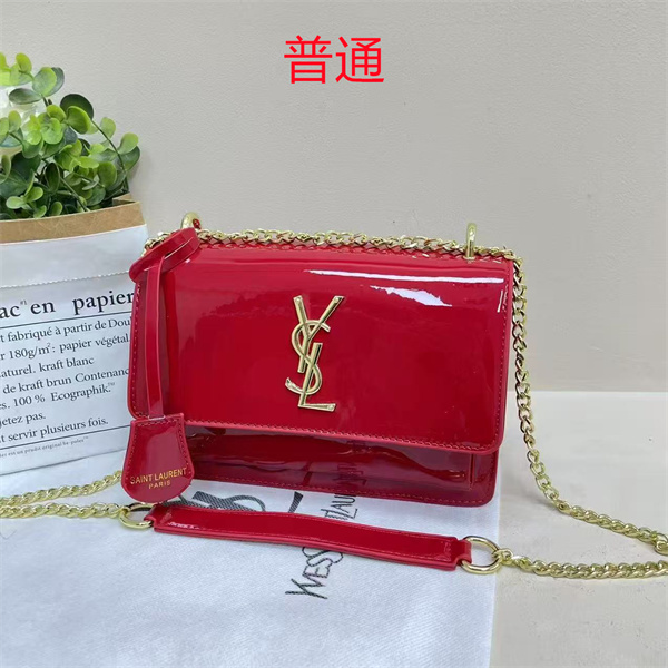 YSL small bag-0389