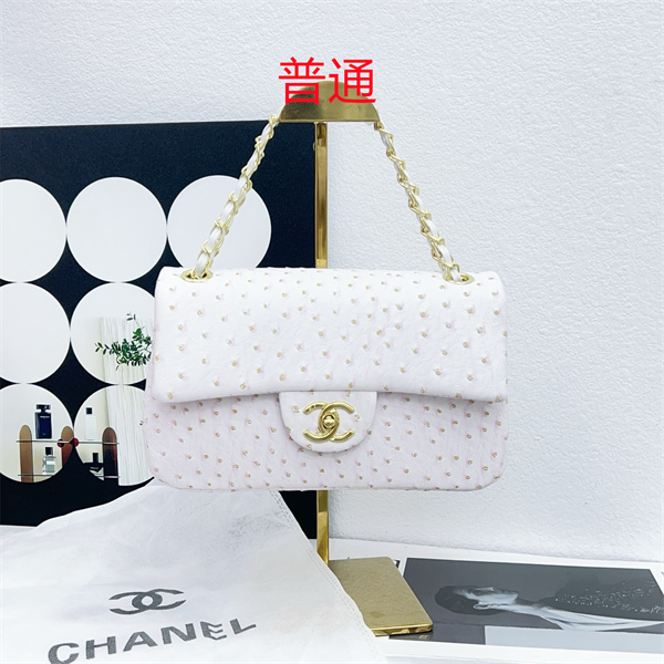 Chanel small bag-0350