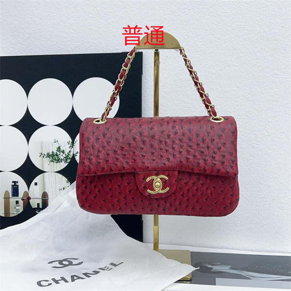 Chanel small bag-0352