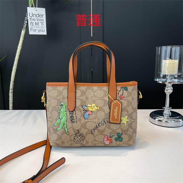 Coach small bag-0719