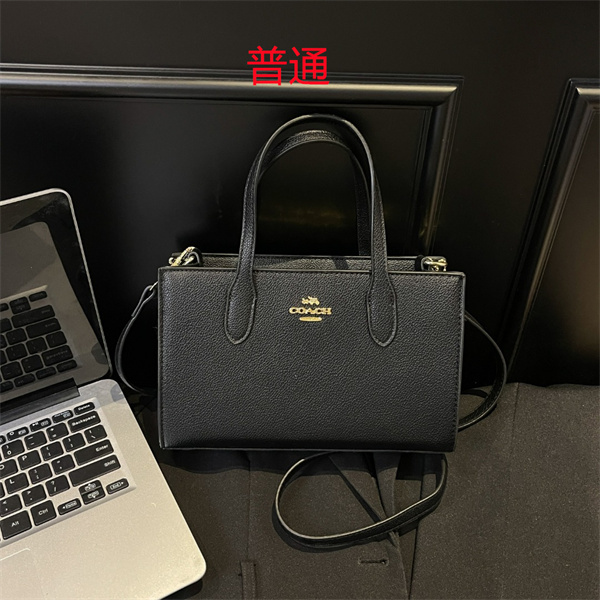 Coach small bag-0729
