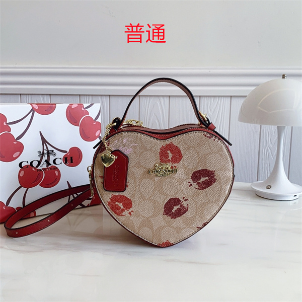 Coach small bag-0754