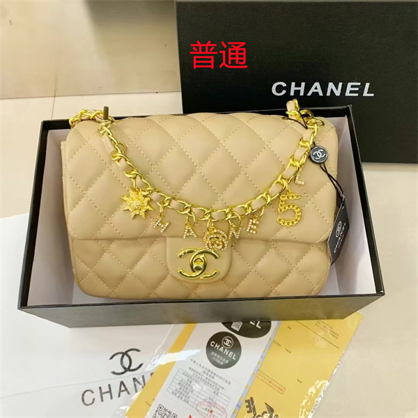 Chanel small bag-0395
