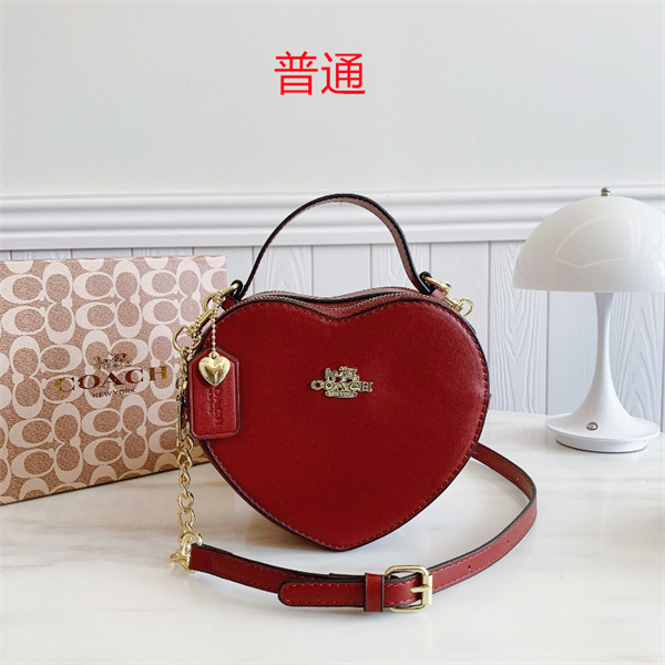 Coach small bag-0770