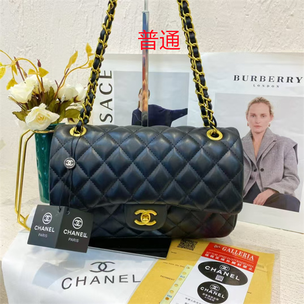Chanel small bag-0431