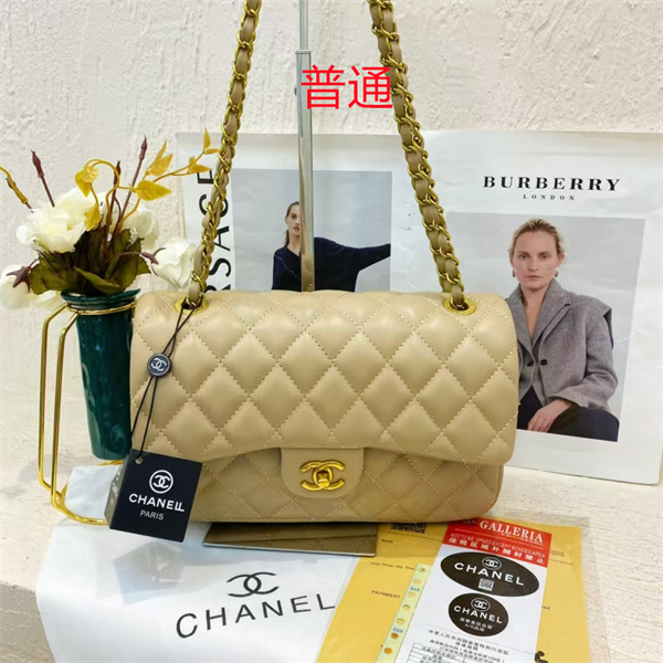 Chanel small bag-0434