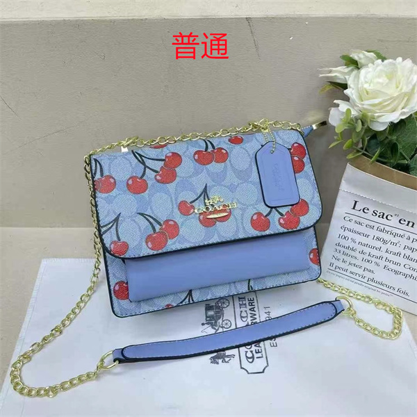 Coach small bag-0801