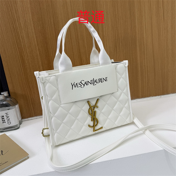 YSL small bag-0491
