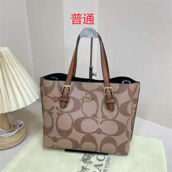 Coach small bag-0817