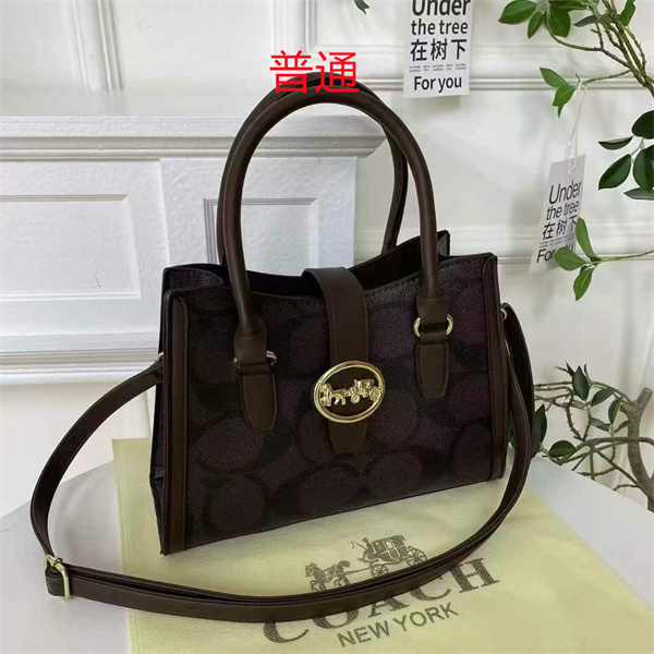 Coach small bag-0824