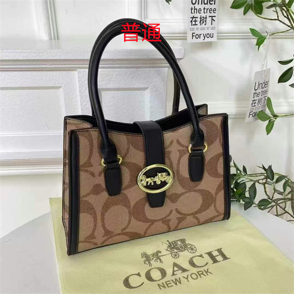 Coach small bag-0828