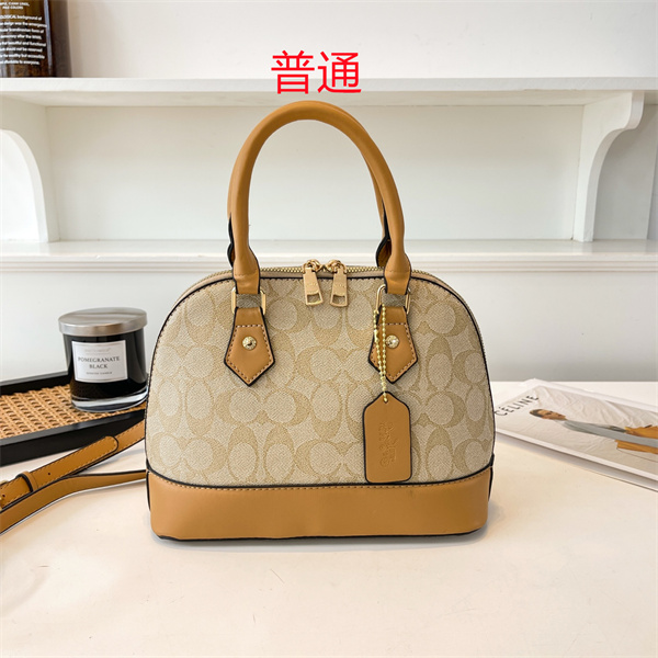 Coach small bag-0845