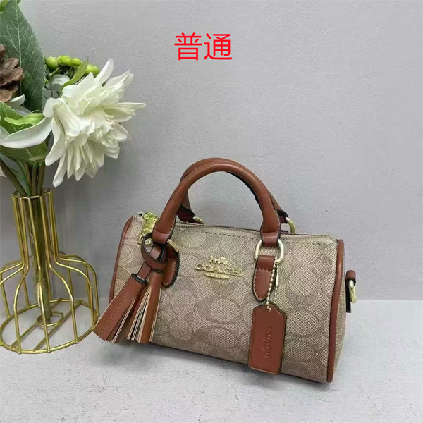 Coach small bag-0851