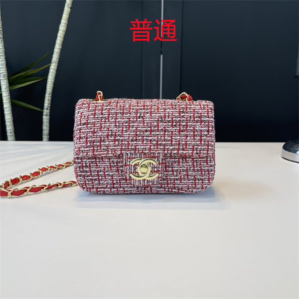 Chanel small bag-0488